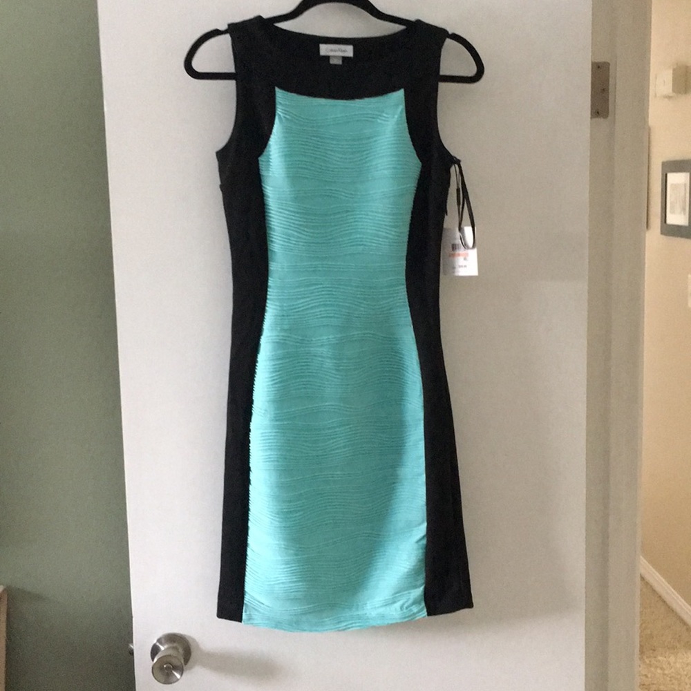 Calvin Klein Sheath Dress Size 2